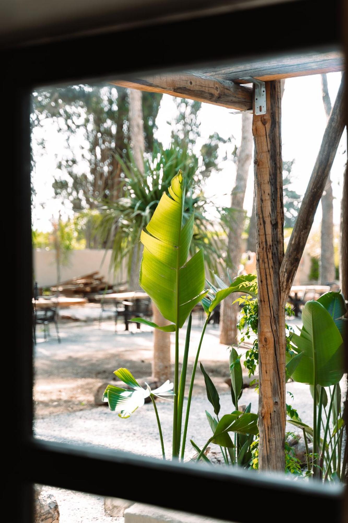 Parco Ibiza, By Camping San Antonio Est 1961 Chambre photo